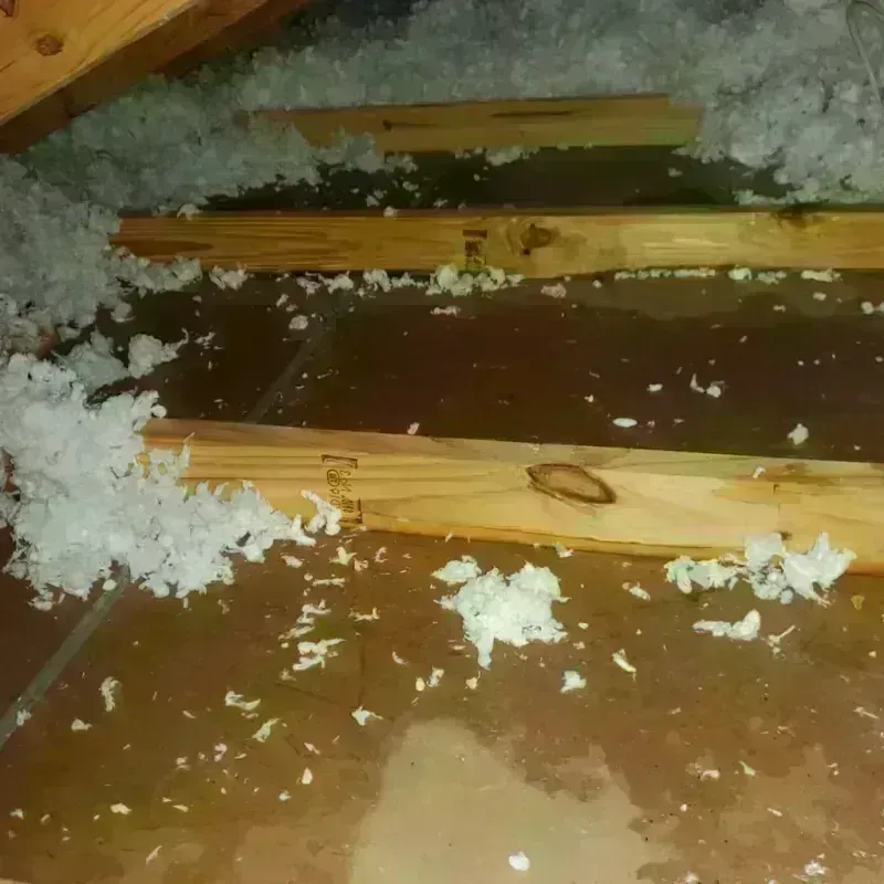 Attic Water Damage in Buffalo, NY