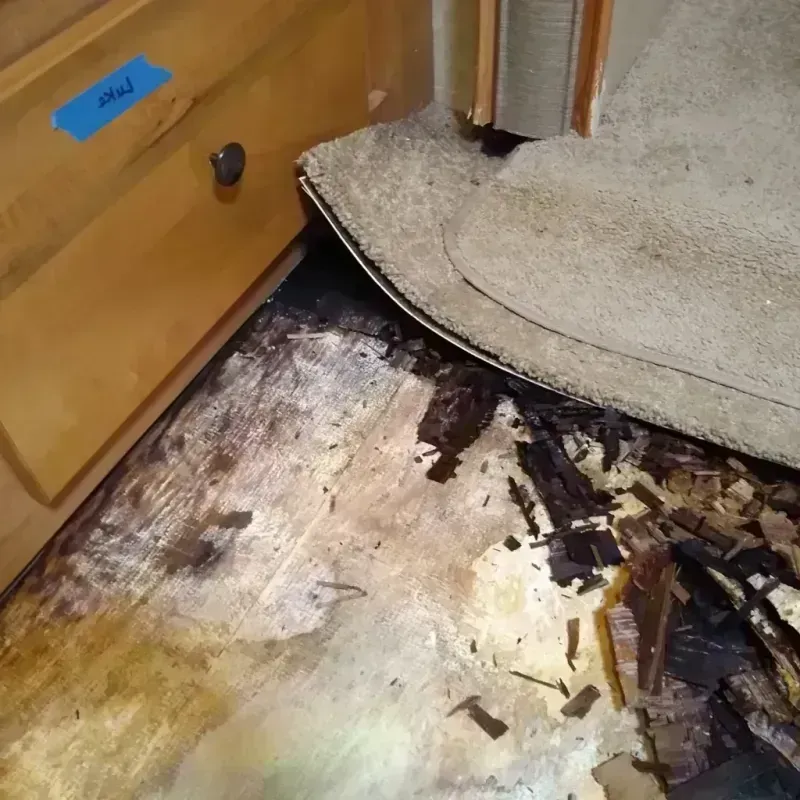 Wood Floor Water Damage in Buffalo, NY